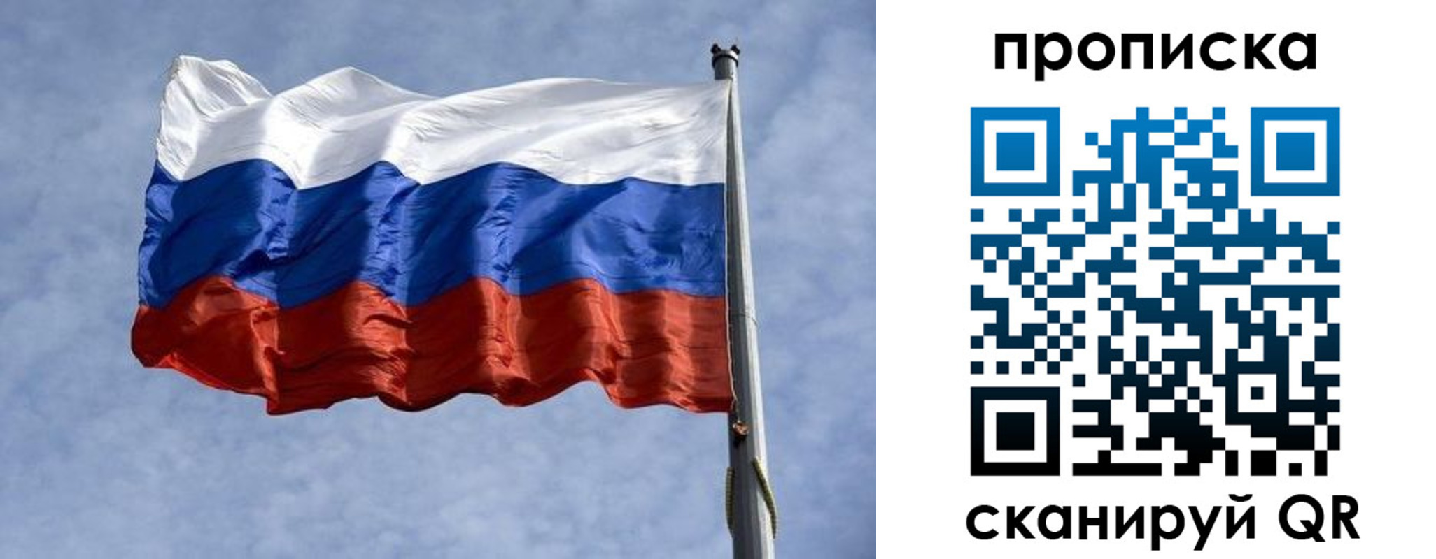 временная регистрация надежно в Владимирской области